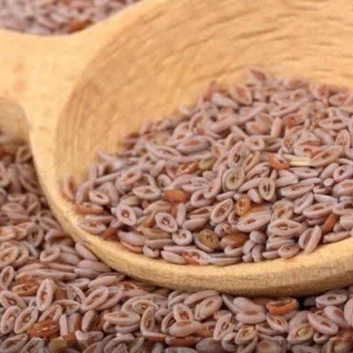 تصویر 1 از قیمت فله اسفرزه
